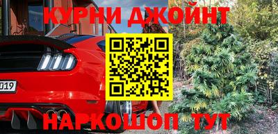 прущие грибы Будённовск