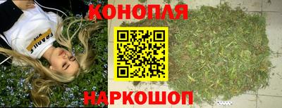 прущие грибы Будённовск