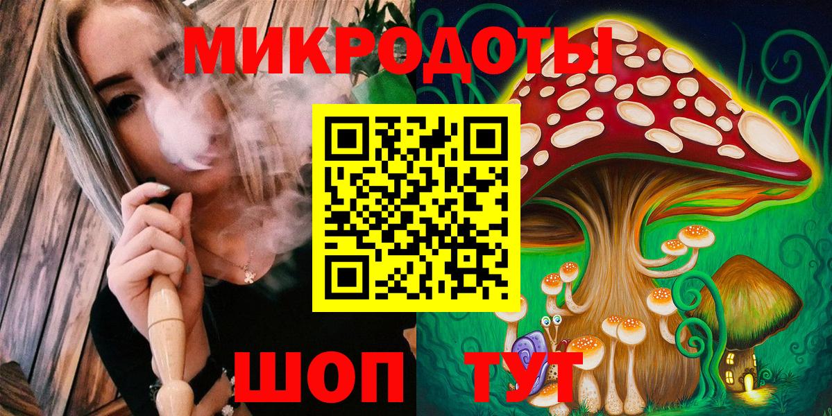 Галлюциногенные грибы Psilocybe Таганрог