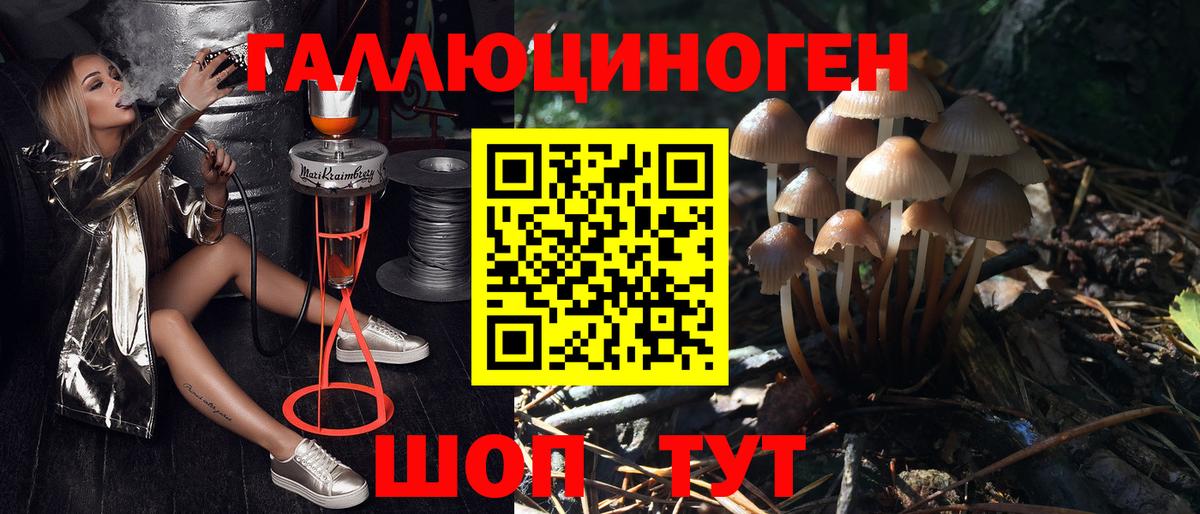 Галлюциногенные грибы прущие грибы  Псилоцибиновые грибы GOLDEN TEACHER  Таганрог  Вход с VPN 